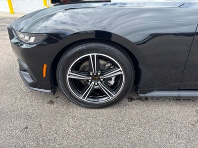 2025 Ford Mustang EcoBoost Premium