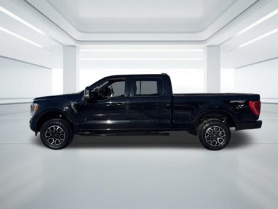 2023 Ford F-150 XLT Sport 302A
