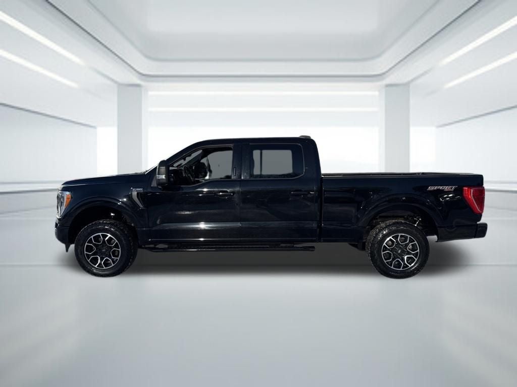 2023 Ford F-150 XLT Sport 302A