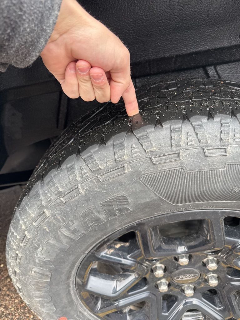 2024 Ford F-150 XLT 302A Sport